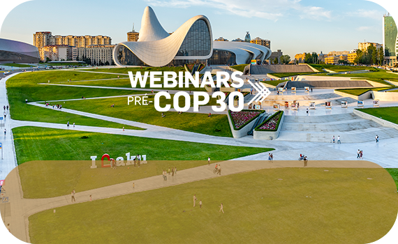 2nd Pre-COP30 Webinar: Climate Finance & Expectations for COP29
