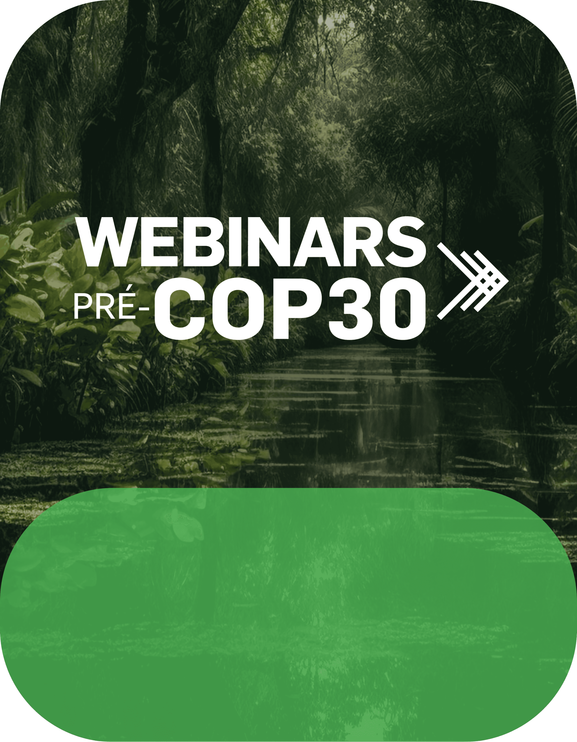 Lançamento do Programa Pacto Rumo à COP30
